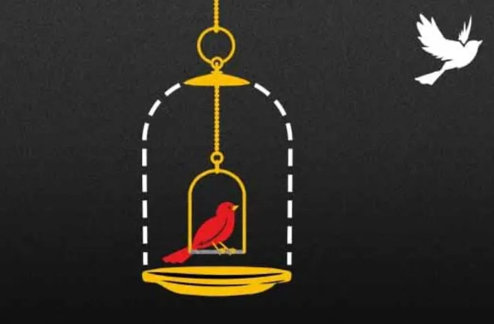 بلایی که سانسور بر سر هنرمندان می‌آورد از زبان ناهید کاظمی، تصویرساز ایرانی-کانادایی: